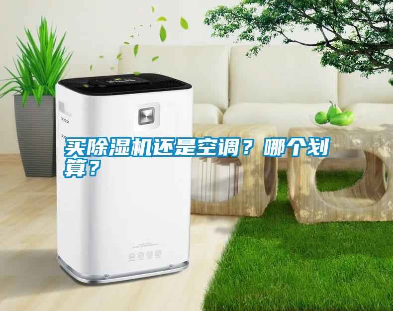 買除濕機還是空調？哪個劃算？