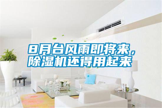 8月臺風雨即將來，除濕機還得用起來