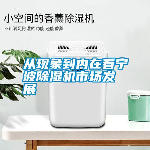 從現象到內在看寧波除濕機市場發展
