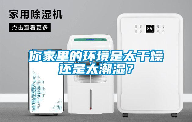 你家里的環境是太干燥還是太潮濕？
