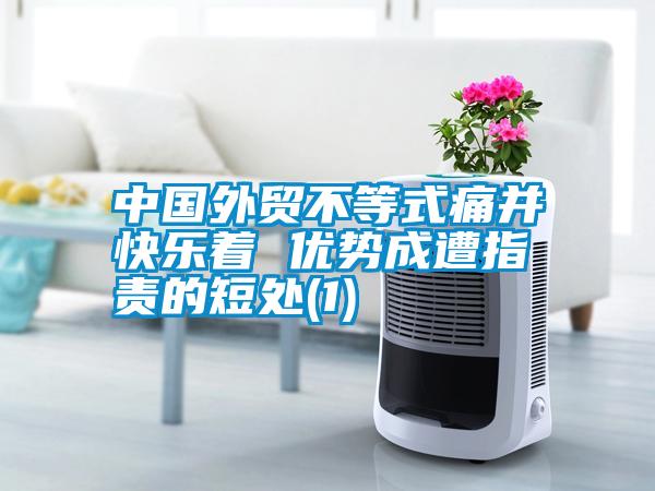 中國外貿不等式痛并快樂著 優勢成遭指責的短處(1)