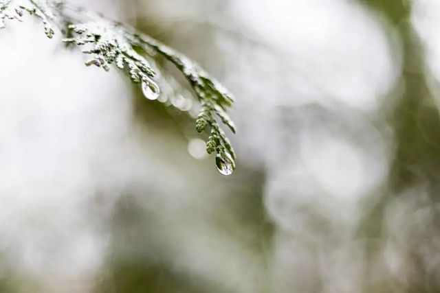 空氣濕度大帶來的危害有哪些，你知道嗎？