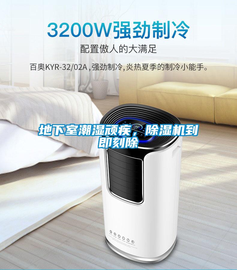 地下室潮濕頑疾，除濕機到即刻除