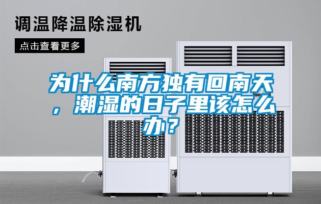 為什么南方獨有回南天，潮濕的日子里該怎么辦？