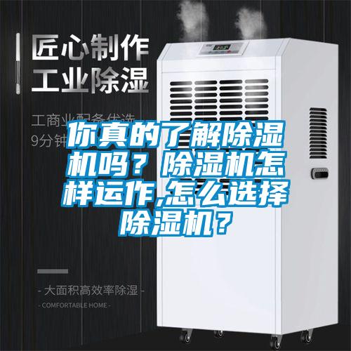 你真的了解除濕機嗎？除濕機怎樣運作,怎么選擇除濕機？