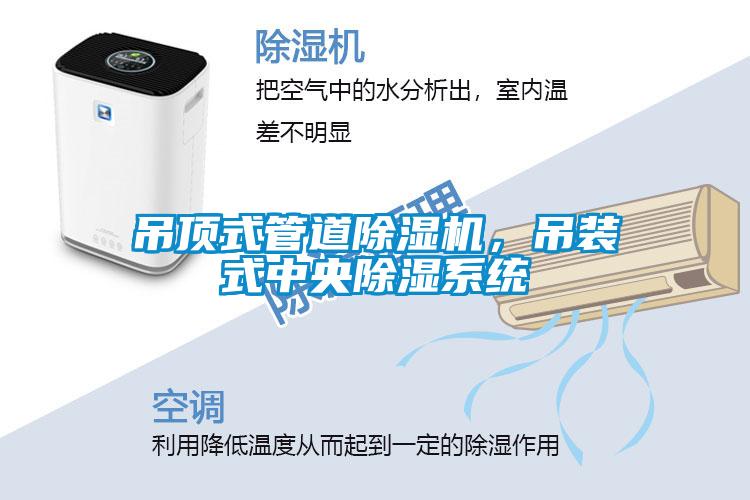 吊頂式管道除濕機，吊裝式中央除濕系統