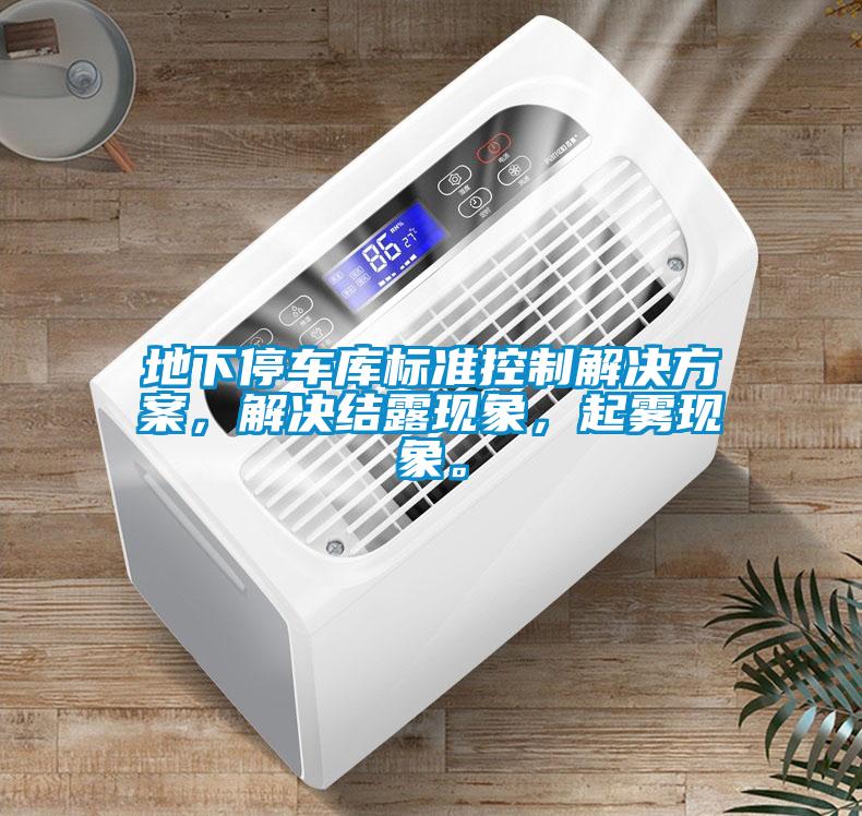 地下停車庫(kù)標(biāo)準(zhǔn)控制解決方案，解決結(jié)露現(xiàn)象，起霧現(xiàn)象。