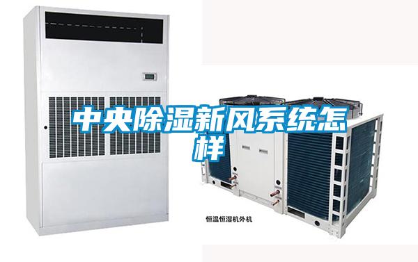 中央除濕新風系統怎樣
