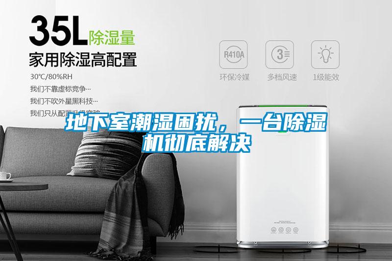 地下室潮濕困擾，一臺除濕機徹底解決