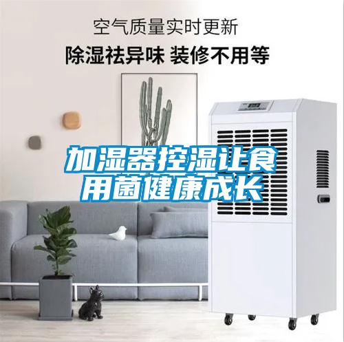 加濕器控濕讓食用菌健康成長(zhǎng)