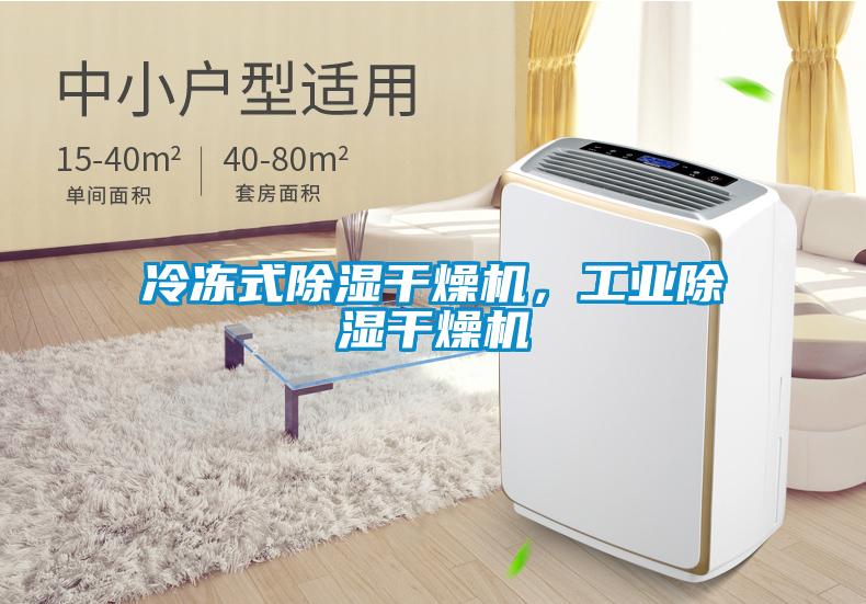冷凍式除濕干燥機，工業除濕干燥機