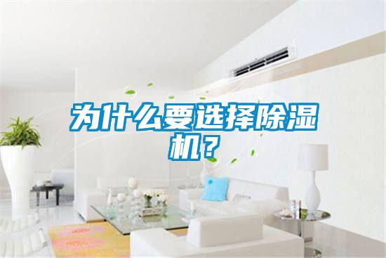 為什么要選擇除濕機(jī)？