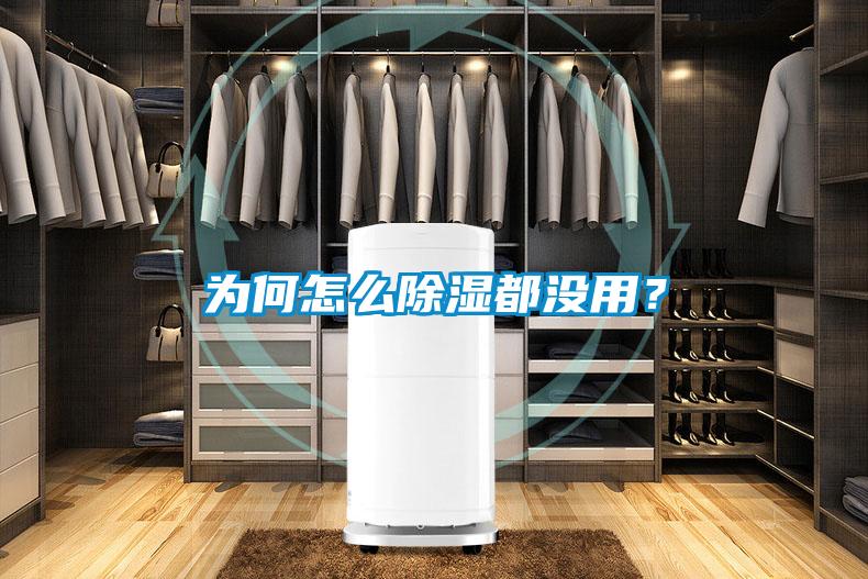 為何怎么除濕都沒用？