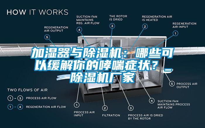 加濕器與除濕機：哪些可以緩解你的哮喘癥狀？_除濕機廠家