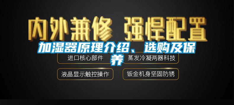 加濕器原理介紹、選購及保養