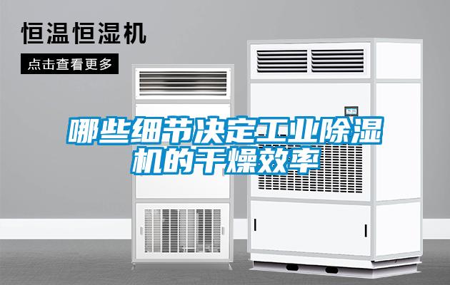 哪些細節決定工業除濕機的干燥效率
