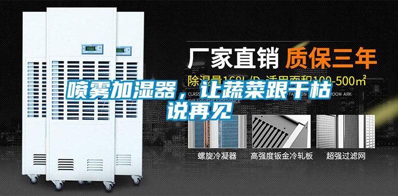 噴霧加濕器，讓蔬菜跟干枯說再見