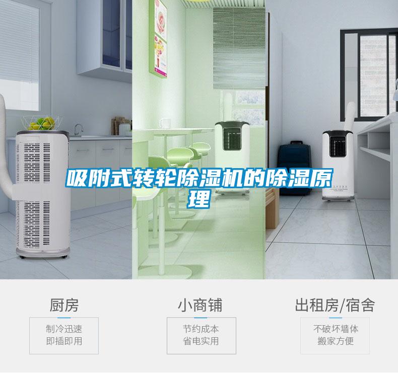吸附式轉輪除濕機的除濕原理