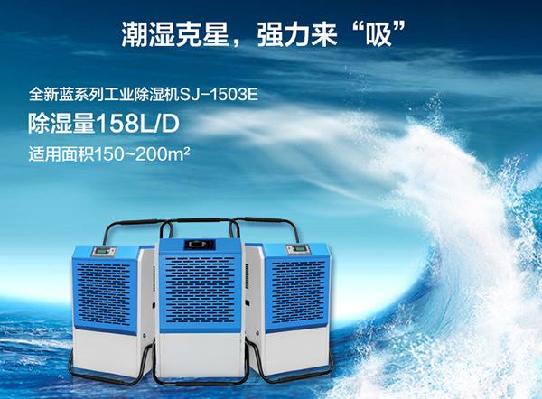 寵物倉鼠到底怕不怕梅雨季的潮濕天氣？