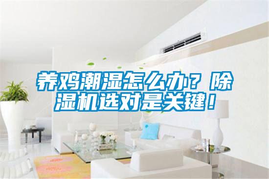 養(yǎng)雞潮濕怎么辦？除濕機選對是關(guān)鍵！