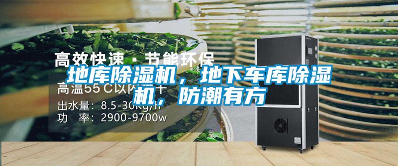 地庫(kù)除濕機(jī)，地下車庫(kù)除濕機(jī)，防潮有方