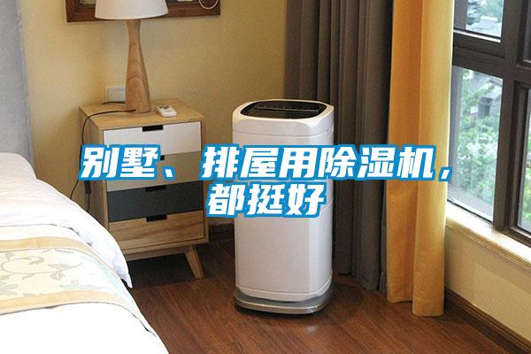 別墅、排屋用除濕機(jī)，都挺好