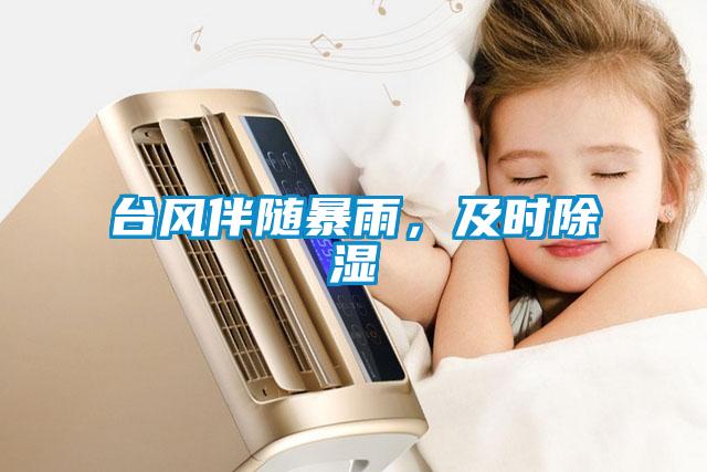 臺風伴隨暴雨，及時除濕