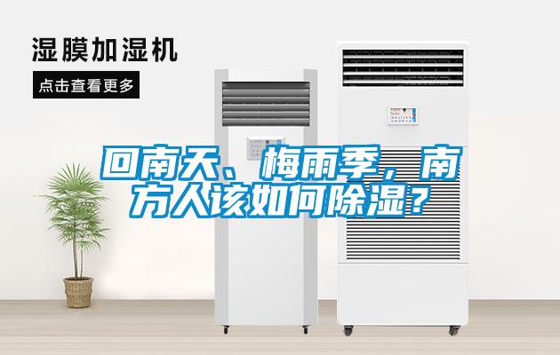 回南天、梅雨季，南方人該如何除濕？