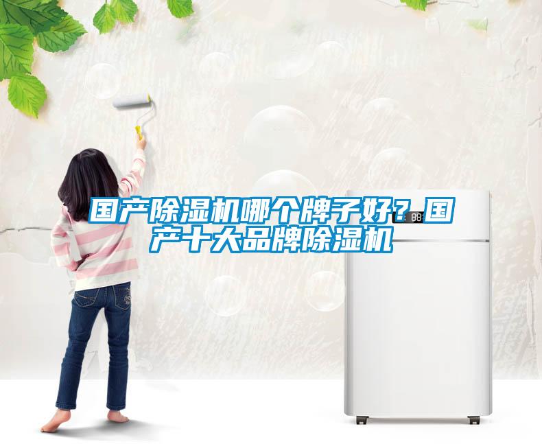 國(guó)產(chǎn)除濕機(jī)哪個(gè)牌子好?國(guó)產(chǎn)十大品牌除濕機(jī)