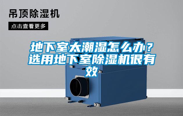 地下室太潮濕怎么辦？選用地下室除濕機很有效