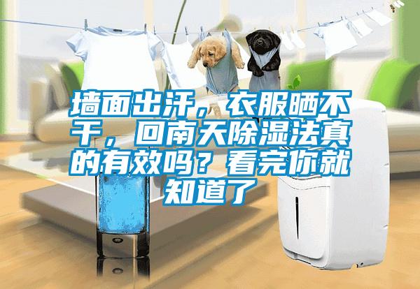 墻面出汗，衣服曬不干，回南天除濕法真的有效嗎？看完你就知道了