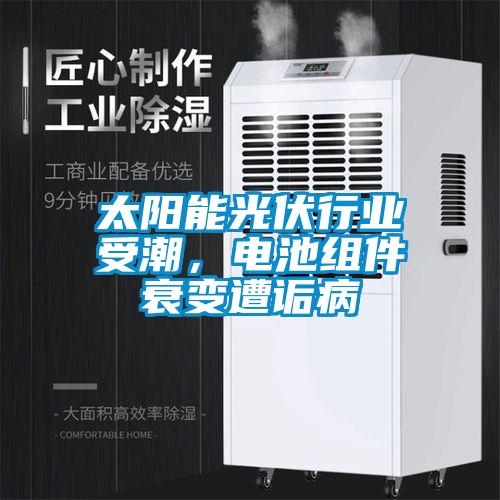 太陽能光伏行業受潮，電池組件衰變遭詬病
