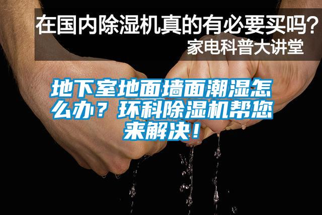 地下室地面墻面潮濕怎么辦？環科除濕機幫您來解決！