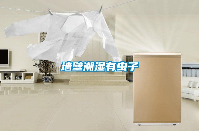 墻壁潮濕有蟲(chóng)子