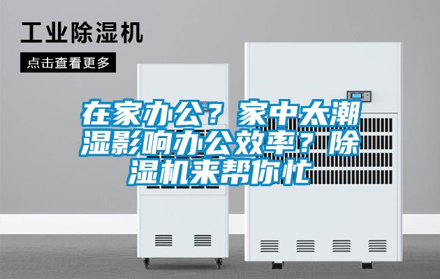 在家辦公？家中太潮濕影響辦公效率？除濕機來幫你忙
