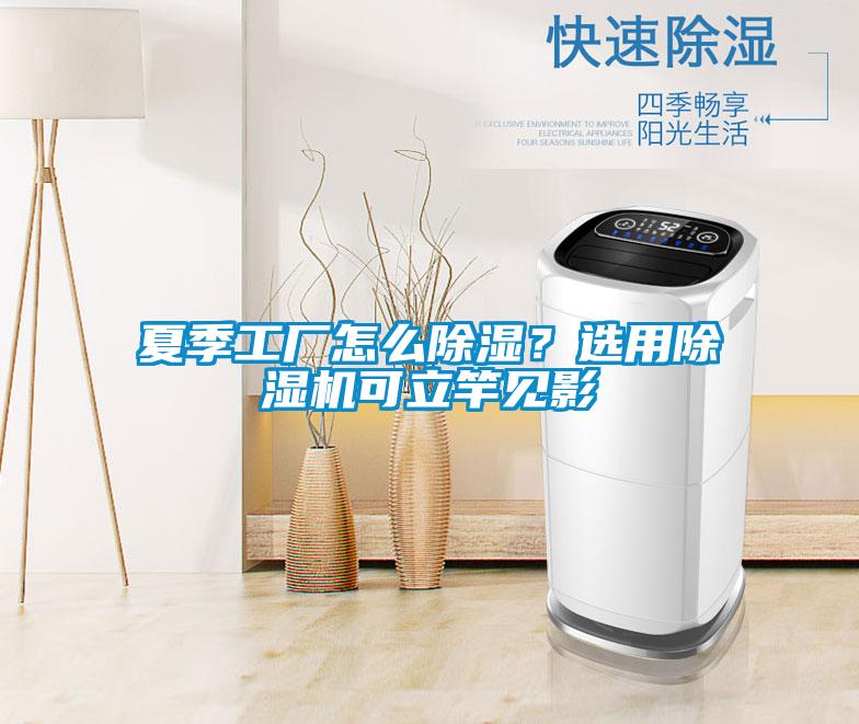 夏季工廠怎么除濕?選用除濕機(jī)可立竿見影