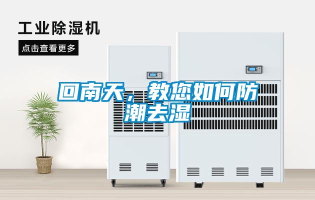 回南天，教您如何防潮去濕