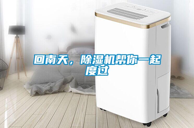 回南天，除濕機幫你一起度過