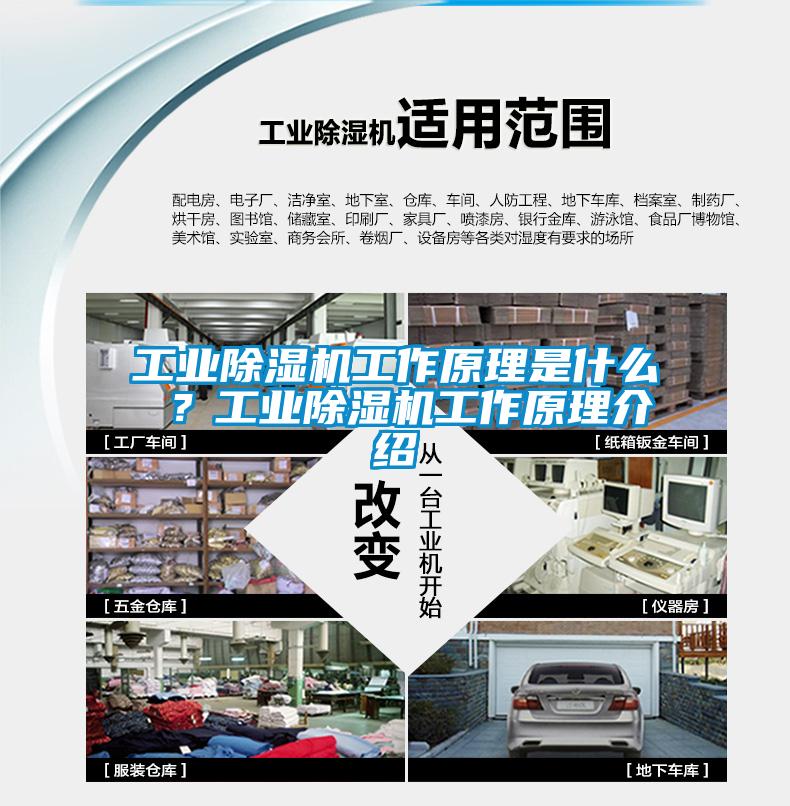 工業除濕機工作原理是什么 ？工業除濕機工作原理介紹
