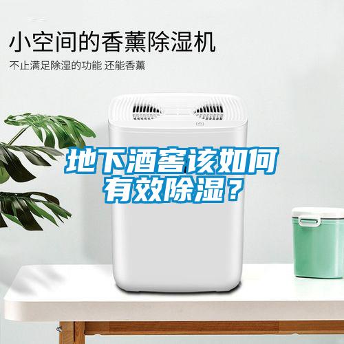 地下酒窖該如何有效除濕？