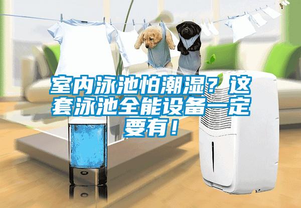 室內(nèi)泳池怕潮濕？這套泳池全能設(shè)備一定要有！