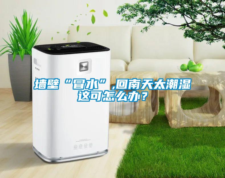 墻壁“冒水”,回南天太潮濕這可怎么辦？