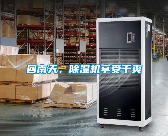 回南天，除濕機享受干爽