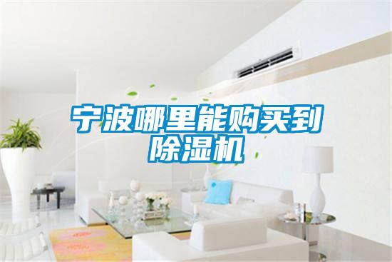 寧波哪里能購(gòu)買(mǎi)到除濕機(jī)