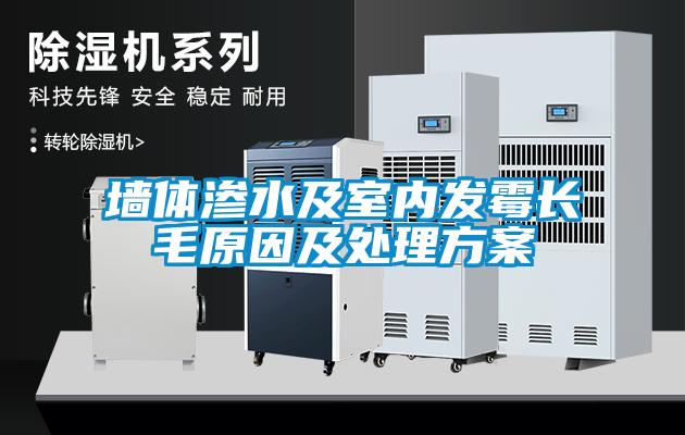 墻體滲水及室內發霉長毛原因及處理方案