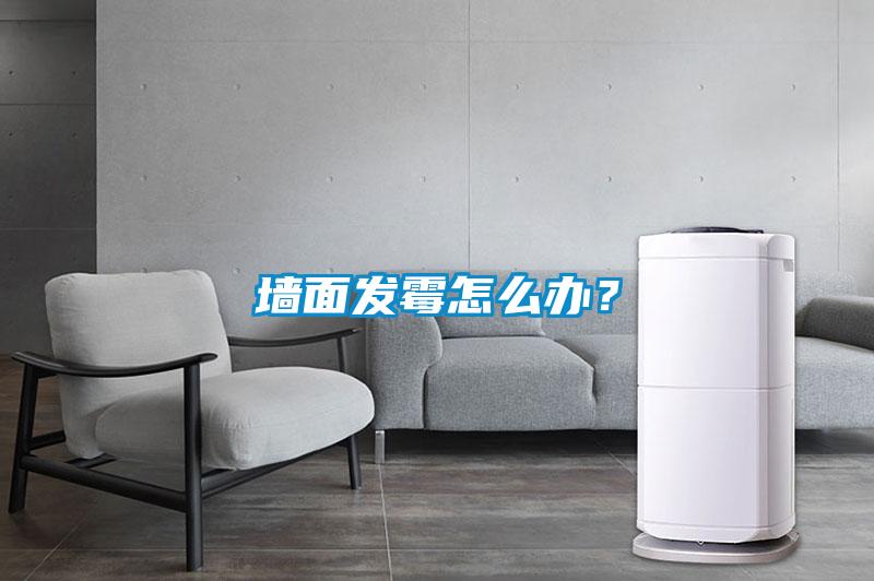 墻面發霉怎么辦？