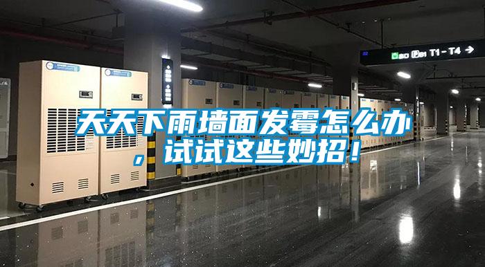 天天下雨墻面發霉怎么辦，試試這些妙招！