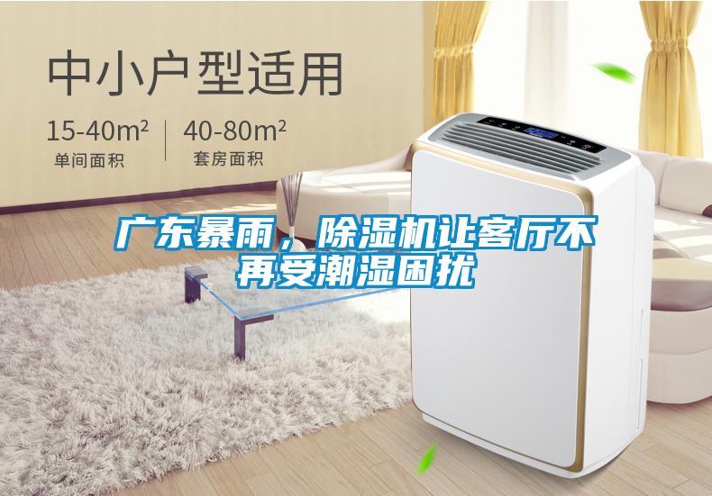 廣東暴雨，除濕機讓客廳不再受潮濕困擾