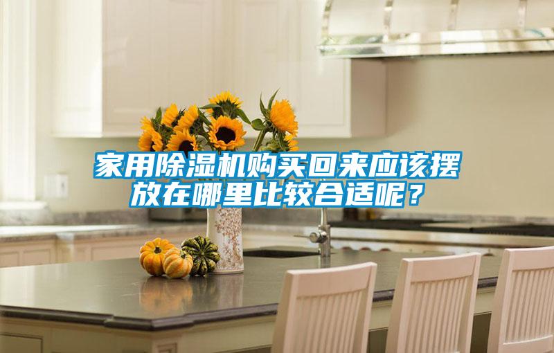 家用除濕機(jī)購(gòu)買回來(lái)應(yīng)該擺放在哪里比較合適呢？