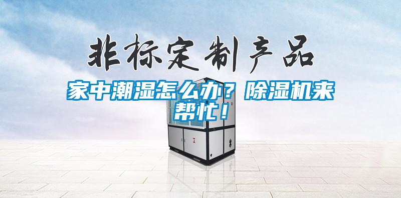 家中潮濕怎么辦？除濕機來幫忙！